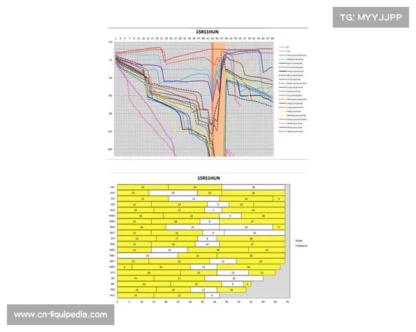 轮胎管理成拉斯维加斯站主题,江胎策略决定名次 轮胎管理成拉斯维加斯站主题,江胎策略决定名次